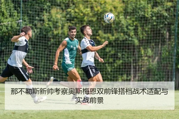 那不勒斯新帅考察奥斯梅恩双前锋搭档战术适配与实战前景 | kaiyun